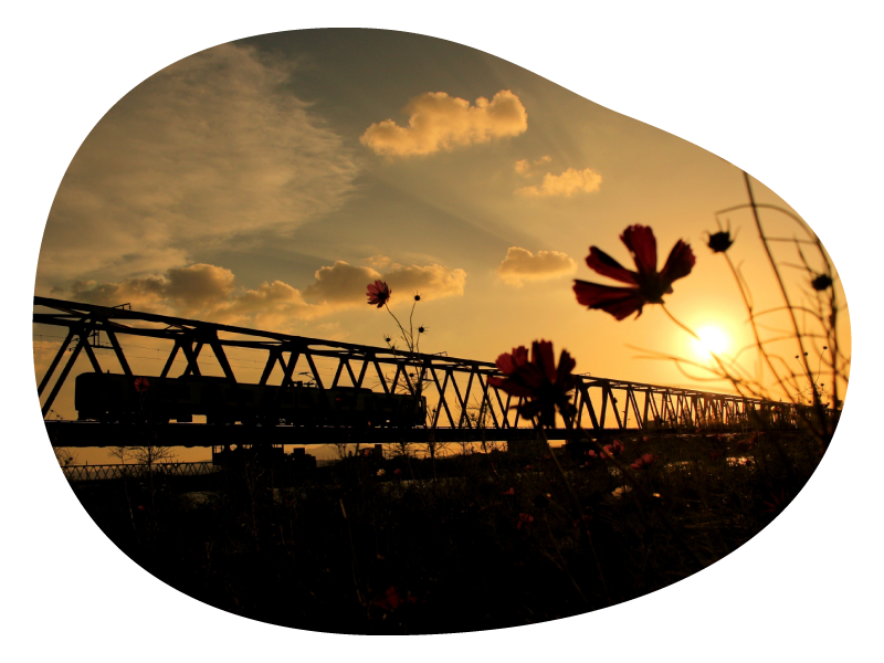 橋を通過するJR日豊本線